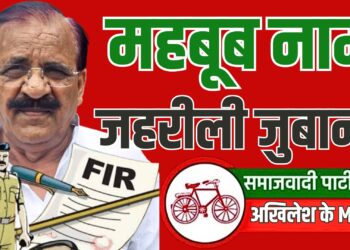 समाजवादी पार्टी के विधायक एवं पूर्व मंत्री महबूब अली विवादित बयानबाजी को लेकर कानूनी झमेले में फंस गए हैं। सोशल मीडिया पर वीडियो वायरल होने के बाद यूपी की बिजनौर पुलिस ने अखिलेश यादव की पार्टी के एमएलए महबूब और सपा जिलाध्यक्ष शेख जाकिर हुसैन के खिलाफ एफआईआर दर्ज कर कार्रवाई शुरू कर दी है।