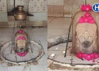 वनखंडेश्वर महादेव मंदिर: 8 लाख की जमानत पर हुई थी भोलेनाथ की वापसी, अब पूरी होती है हर मुराद